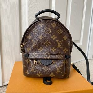 Louis Vuitton Mini Palm Springs Bag
